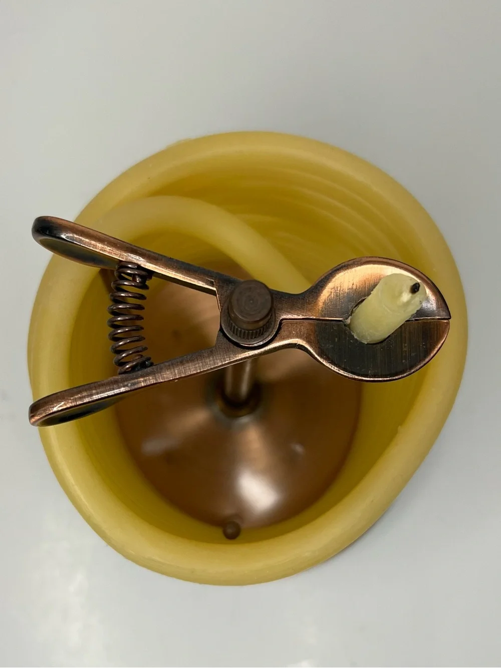 Eclipse beeswax coil